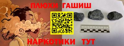 гидропоника Будённовск