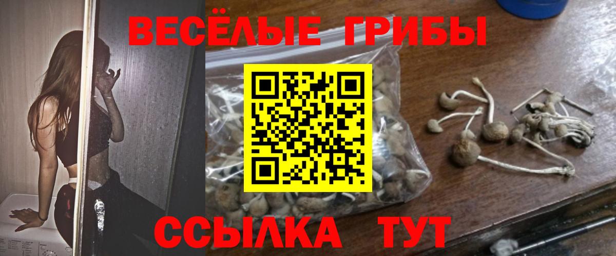Галлюциногенные грибы Magic Shrooms  Галлюциногенные грибы прущие грибы  Кинешма  Вход с VPN 